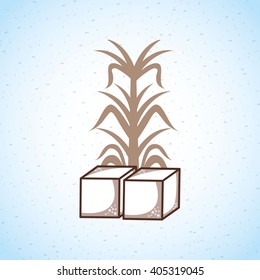 sugar product design 
