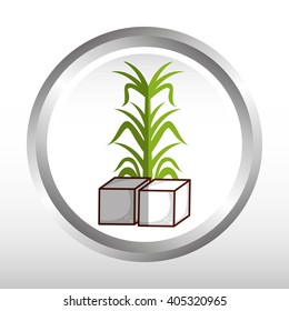 sugar product design 