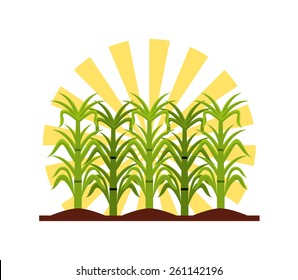sugar product design, vector illustration eps10 graphic 