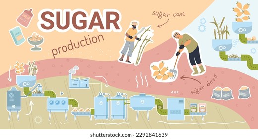 Sugar production composition with collage of flat icons with factory units beets canes and human characters vector illustration