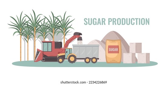 Sugar production concept with cane harvesting process and product packaging cartoon vector illustration