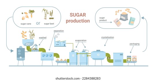 Producción de azúcar composición infográfica plana con vista a la línea de fábrica con flechas de texto y proporciona ilustración vectorial