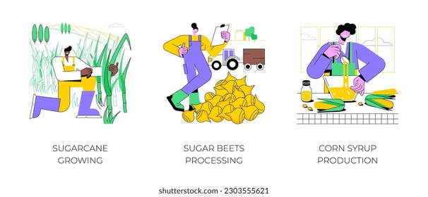 Producción de azúcar aislado ilustraciones vectoriales de dibujos animados conjunto. Cultivo de caña de azúcar, cultivo de cultivos, transformación de remolacha azucarera, proceso de elaboración de jarabe de maíz, caricatura vectorial de trabajadores agroindustriales.