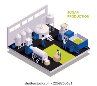 Sugar production isometric composition illustrated the sequence of function of technological process vector illustration