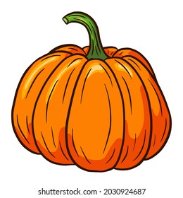 Sugar Pumpkin Illustration. Autumn Food Icon. Ripe squash sketch. Element for autumn decorative design, halloween invitation, harvest, sticker, print, logo, menu, recipe