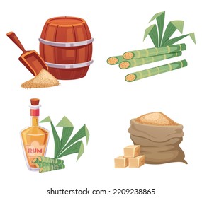 Sugar rum alcohol drink cane isolated set. Vector graphic design element illustration