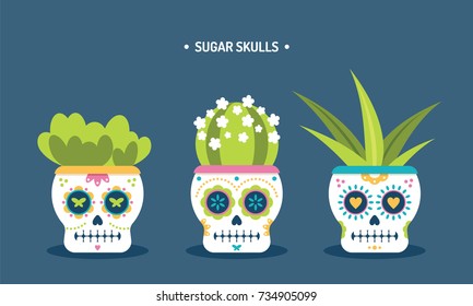 Sugar skull house plant succulent flower pots vector illustration