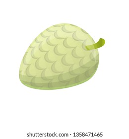 Sugar soursop icon. Cartoon of sugar soursop vector icon for web design isolated on white background