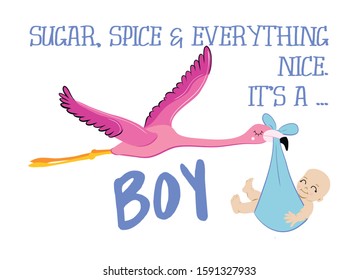 Sugar, Spice and everything nice. It's a Boy. - Funny flamingo stork inllustration with baby girl. Typography illustration for new borns.  Good for posters, greeting cards, textiles, T-shirts.