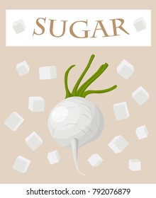 sugar, white, illustration, vector, beet, cube, refined, bowl, food, sweet, isolated, ingredient, cubes, cane, natural, background, product, granulated, logo, drawing, fresh, cooking, sucrose, cartoon