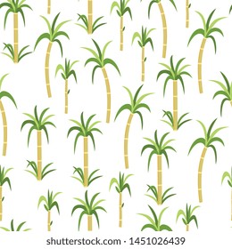 Sugarcane or cane plants seamless pattern for design organic sugar containing food's package, flat vector illustration on the white background. Natural ecological products.