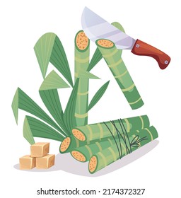Sugarcane design element concept. Vector design element cartoon illustration