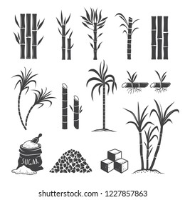 Sugarcane farm symbols. Sweets field plant harvest milling vector colored illustrations isolated on white background