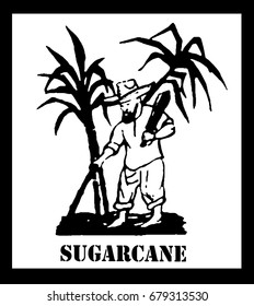Sugarcane. The farmer chops the reeds with a machete. Plantation. Black and white drawing.