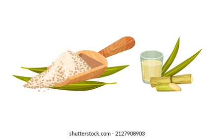 Sugarcane Fibrous Stalk and Extract in Glass Vector Set
