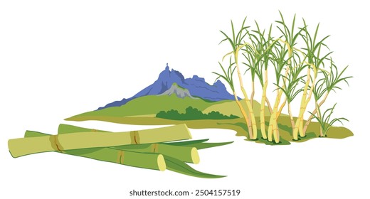 Campos de caña de azúcar con la famosa montaña Pieter Both al fondo. Paisaje de Vector de la cordillera Moka, atracción turística de la isla Mauricio. Ilustración Horizontal de Lugar famoso en estilo plano.