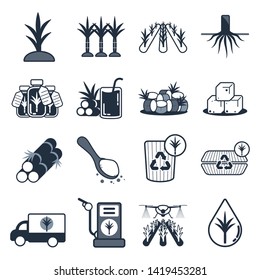 Sugarcane icon set,Vector and Illustration.