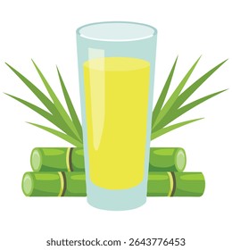 Sugarcane juice summer drink isolated vector illustration on white background