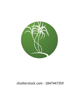 Sugarcane Logo And Symbol Vector