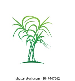 Sugarcane Logo And Symbol Vector