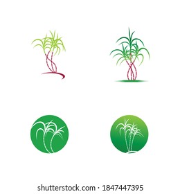 Sugarcane Logo And Symbol Vector