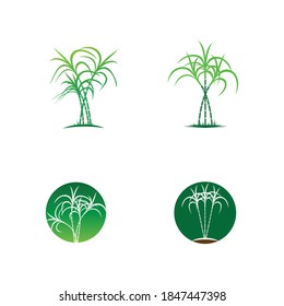 Sugarcane Logo And Symbol Vector