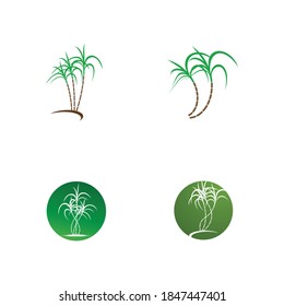 Sugarcane Logo And Symbol Vector