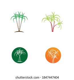 Sugarcane Logo And Symbol Vector