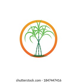 Sugarcane logo and symbol vector