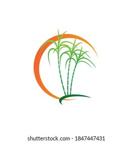 Sugarcane logo and symbol vector