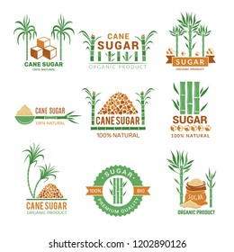 Sugarcane manufacturing. Sweets plants production farm industry leaf vector badges or labels with place for your text. Illustration of eco agriculture production sugar