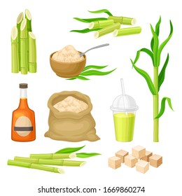 Sugarcane Plant and Manufactured from it Products Vector Set