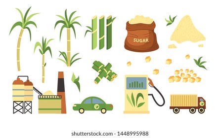 Sugarcane Plant And Produce Set, Alternative Fuel And Cubed And Granulated Powder Of Sugar Cane. Green Farm Plant Tree And Car And Truck Getting Fuel - Isolated Flat Cartoon Vector Illustration