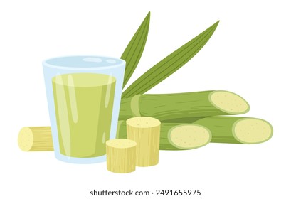 Sugarcane products. Liquid sugar cane syrup and sugarcane sprouts, sugarcane stems with green leaves flat vector illustration. Cartoon natural cane products