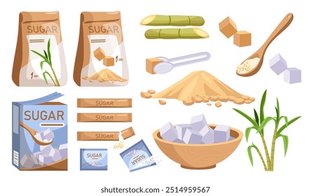 Sugarcane products set. Sweet food from cane. Natural and organic dessert and delicacy. Packaging with brown sugar. Plantantion and harvest. Flat vector collection isolated on white background