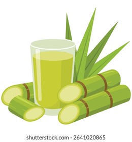 Sugarcane products syrup and sprouts isolated vector illustration on white background