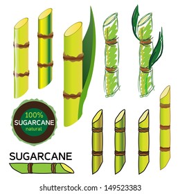 Sugarcane set in vector