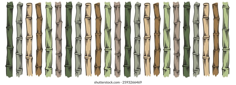 Sugarcane stems pattern. Hand drawn ink bamboo background with stem, branch. For organic eco friendly packaging. Vector illustration on white background.