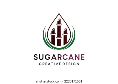 Sugarcane vector illustration logo design in water drops concept