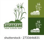 Sugarcane vector logo illustration flat design template organic farm product