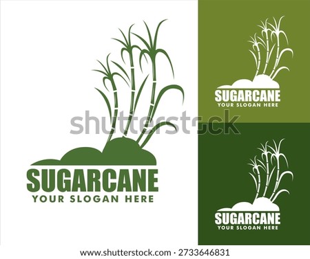 Sugarcane vector logo illustration flat design template organic farm product