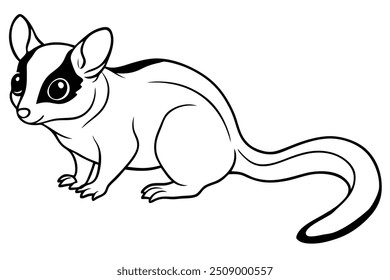 a sugar-glider linar vector lllustration