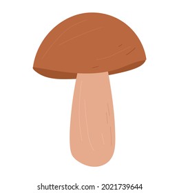 Suillellus mushroom vector hand drawn cartoon illustration isolated