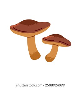 Suillus icon. Autumnal raw fungus. Edible mushrooms in hand drawn style. Autumn boletus for eating. Fall forest food. Little fungi, bolete. Flat isolated vector illustration on white background