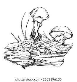 Suillus larch bolete slippery jack mushroom fungus, on bark with moss lichen growth, fallen autumn leaves twigs needles. Hand drawn vector ink Illustration. Autumn forest floor habitat natural scene