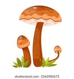 Suillus luteus mushroom, boletus. Edible forest mushroom. Forest grass and leaves. Cartoon vector illustration on a white background.