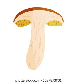 Suillus luteus slice mushroom, yellow mushroom. Edible forest fungus slippery jack or sticky bun. Suillus mushroom or yellow pig Hand drawn trendy flat style isolated icon. Vector illustration