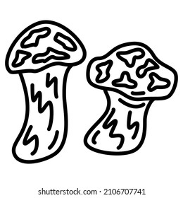 Suillus luteus, yellow boletus, boletus luteus, suillus. Two edible mushrooms. Picking mushrooms in the forest. Vector icon, outline, isolated. Editable stroke