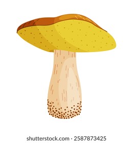 Suillus luteus, yellow mushroom. Edible forest fungus slippery jack or sticky bun. Suillus mushroom or yellow pig Hand drawn trendy flat style isolated icon. Vector illustration