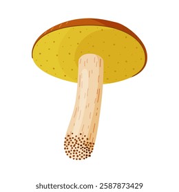 Suillus luteus, yellow mushroom. Edible forest fungus slippery jack or sticky bun. Suillus mushroom or yellow pig Hand drawn trendy flat style isolated icon. Vector illustration